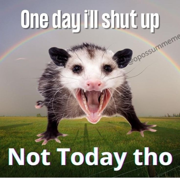 One day i'll shut up wopossummeme Not Today tho
