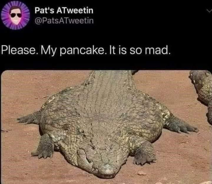 Pat's ATweetin @PatsATweetin Please. My pancake. It is so mad.