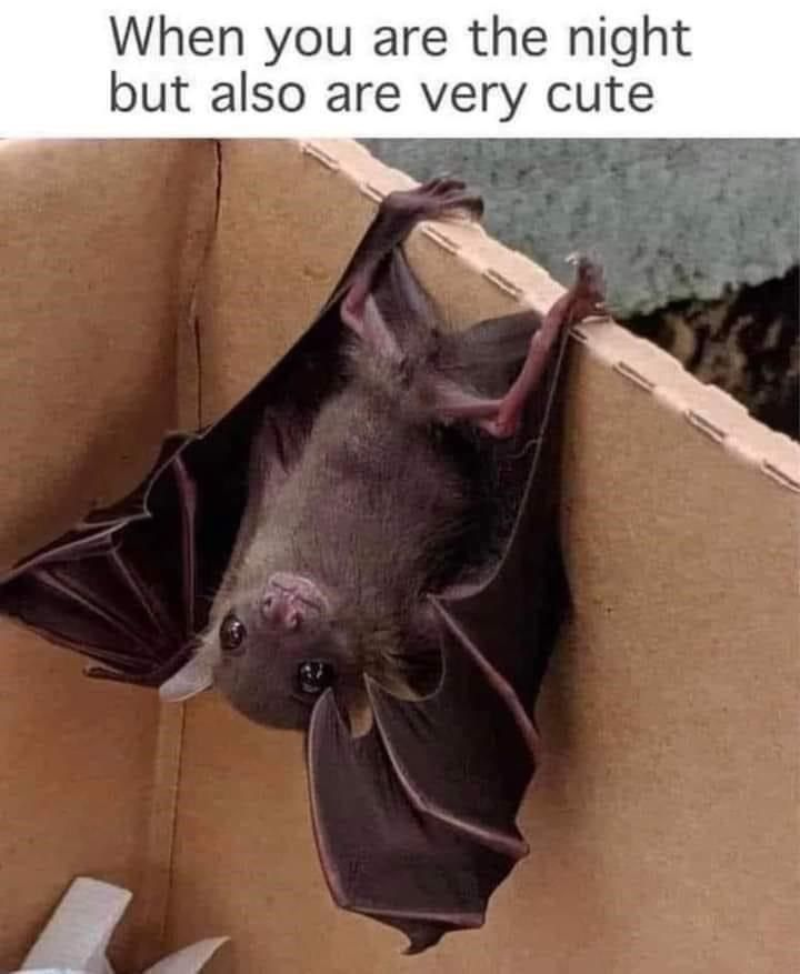 When you are the night but also are very cute