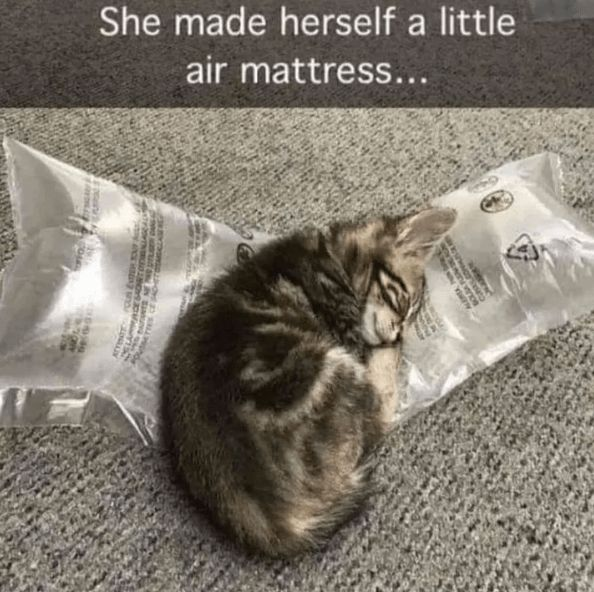 She made herself a little air mattress... PS AT AN IN SIMU A CONVALESC C