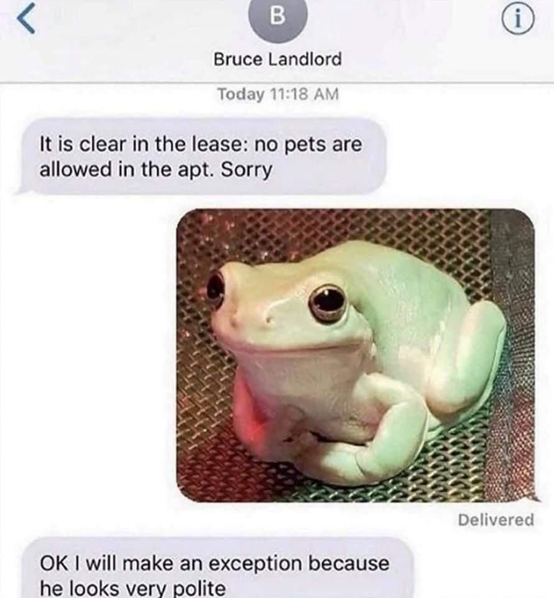 < B Bruce Landlord Today 11:18 AM It is clear in the lease: no pets are allowed in the apt. Sorry OK I will make an exception because he looks very polite i Delivered