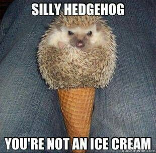 SILLY HEDGEHOG YOU'RE NOT AN ICE CREAM Quickmethe.com