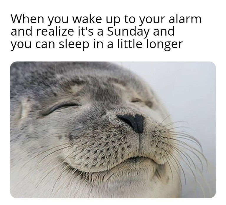When you wake up to your alarm and realize it's a Sunday and you can sleep in a little longer