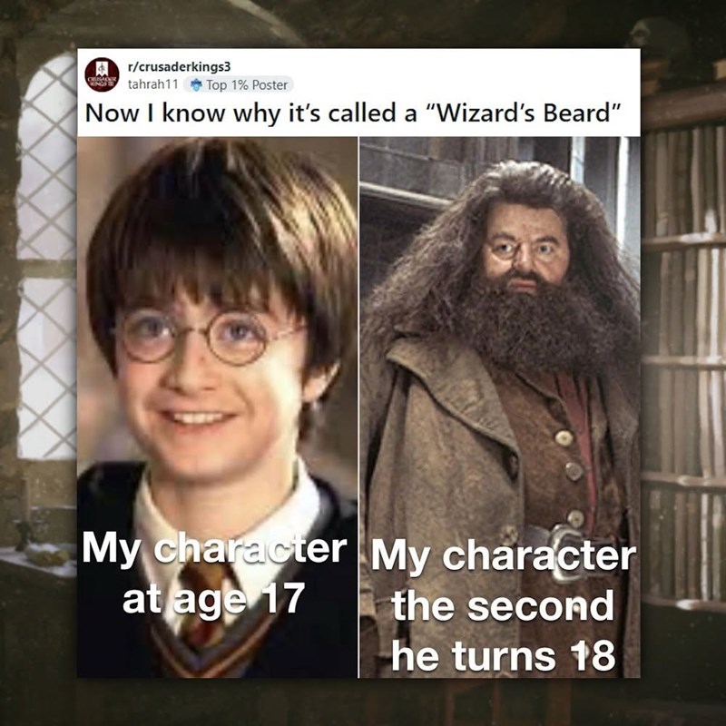 r/crusaderkings3 tahrah11 Top 1% Poster Now I know why it's called a "Wizard's Beard" My character My character at age 17 the second he turns 18