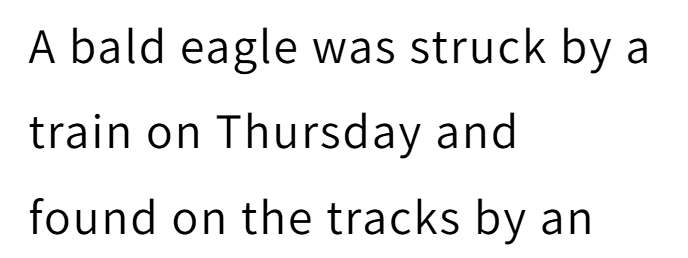 A bald eagle was struck by a train on Thursday and found on the tracks by an