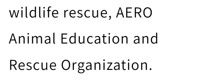 wildlife rescue, AERO Animal Education and Rescue Organization.