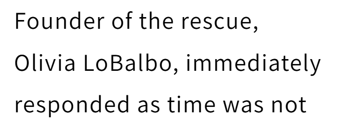 Founder of the rescue, Olivia LoBalbo, immediately responded as time was not