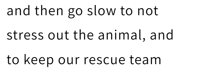 and then go slow to not stress out the animal, and to keep our rescue team