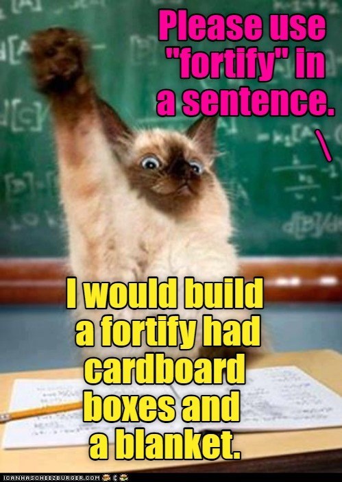 A Please use "fortify" in a sentence. 13-7-5 I would build a fortify had cardboard boxes and a blanket. ICANHASCHEEZBURGER.COM