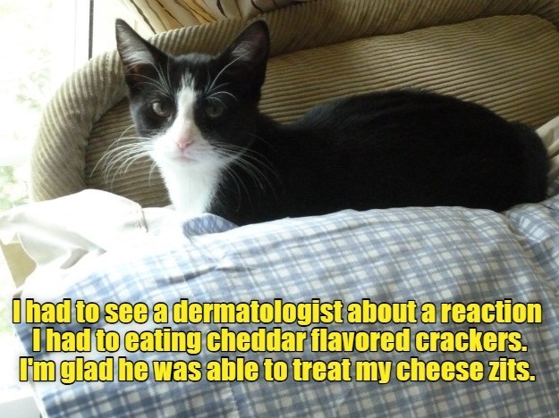 I had to see a dermatologist about a reaction I had to eating cheddar flavored crackers. I'm glad he was able to treat my cheese zits.