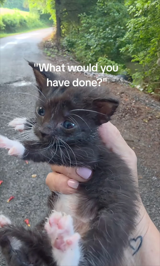 "What would you have done?"