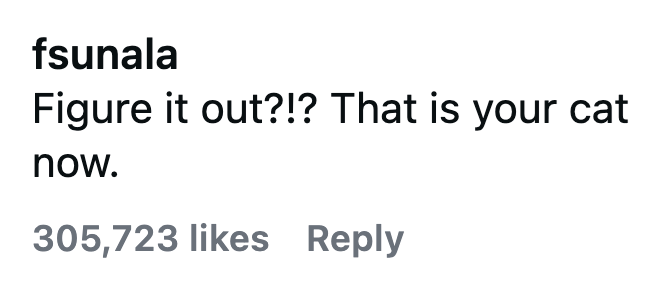 fsunala Figure it out?!? That is your cat now. 305,723 likes Reply