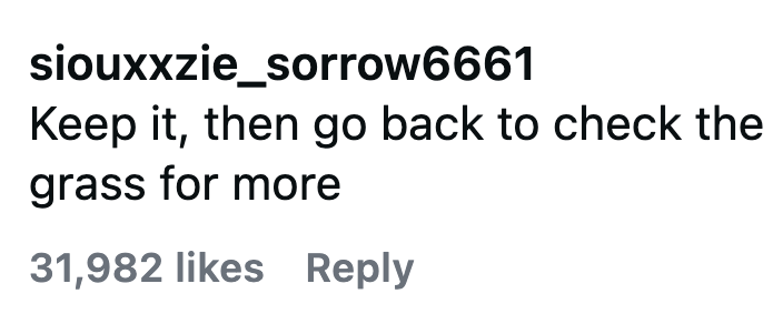 siouxxzie_sorrow6661 Keep it, then go back to check the grass for more 31,982 likes Reply