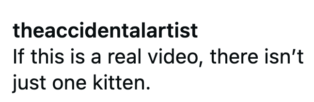 theaccidentalartist If this is a real video, there isn't just one kitten.