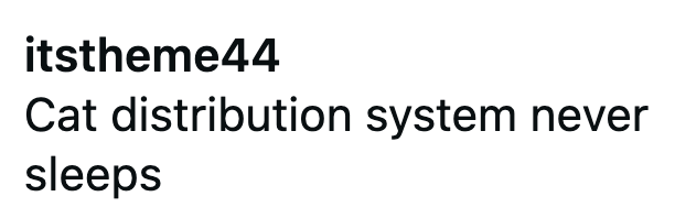 itstheme44 Cat distribution system never sleeps