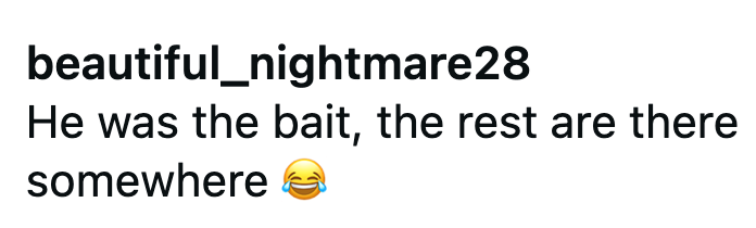 beautiful_nightmare28 He was the bait, the rest are there somewhere