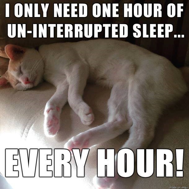 I ONLY NEED ONE HOUR OF UN-INTERRUPTED SLEEP... EVERY HOUR! made on imgur