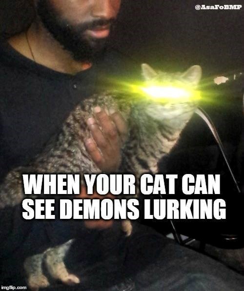 imgflip.com @AsaFoBMP WHEN YOUR CAT CAN SEE DEMONS LURKING