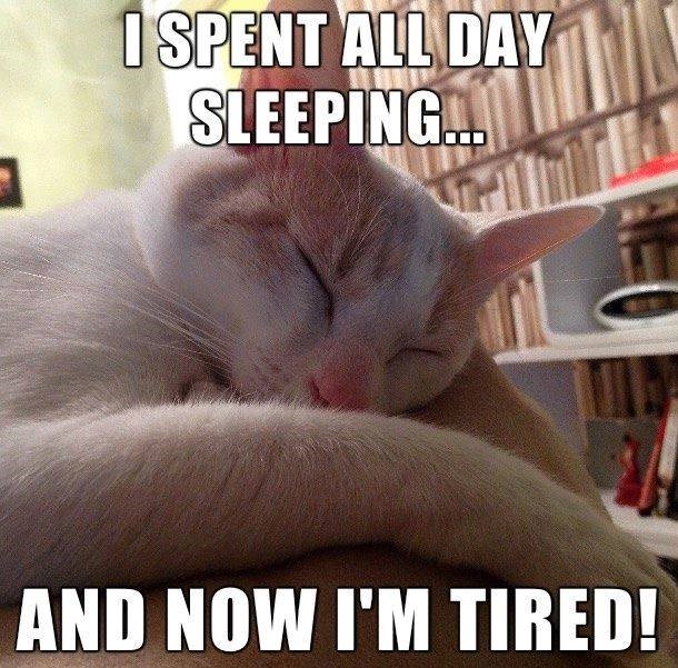 SPENT ALL DAY SLEEPING... AND NOW I'M TIRED!