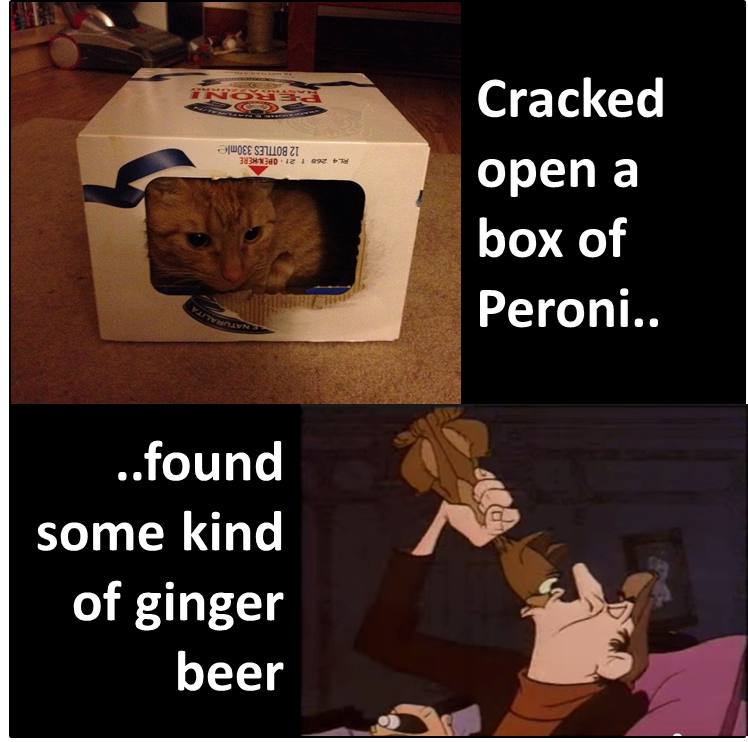 Cracked open a box of Peroni.. ..found some kind of ginger beer LE NATURALITA 12 BOTTLES 330mle RL4 268 1 21 OPEN HERE PERONI