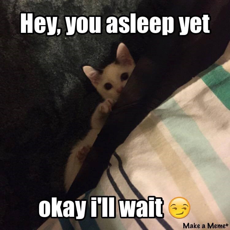 Hey, you asleep yet okay i'll wait Make a Meme+