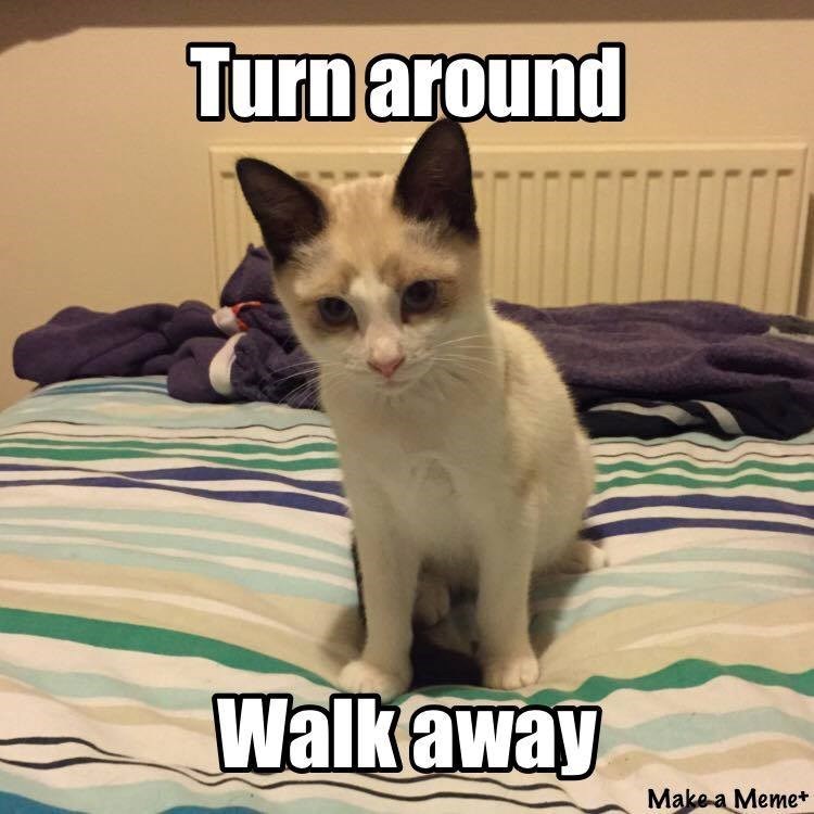 Turn around L Walk away Make a Meme+