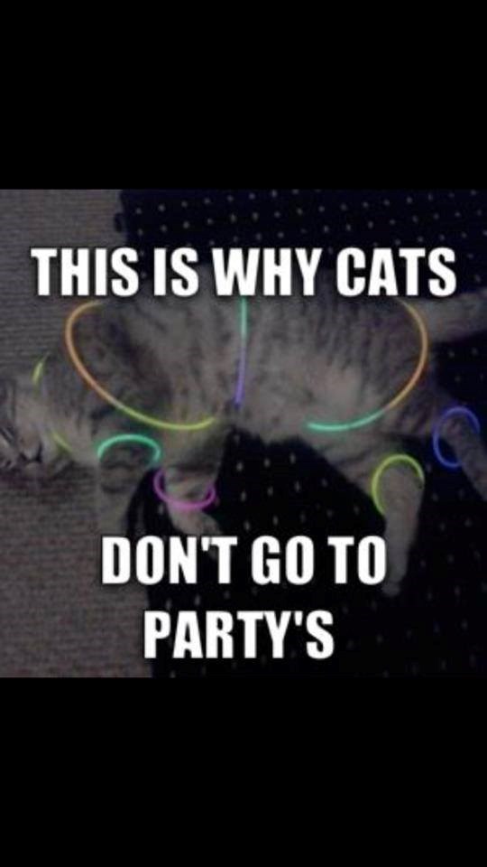 THIS IS WHY CATS DON'T GO TO PARTY'S
