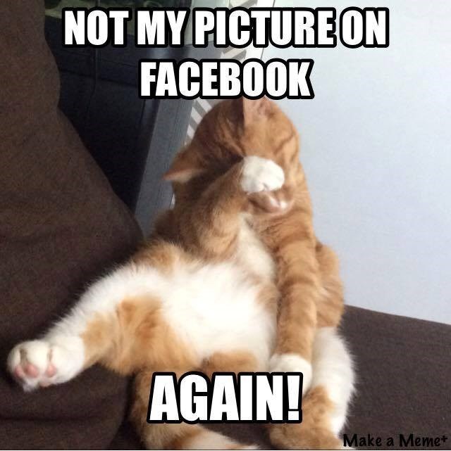 NOT MY PICTURE ON FACEBOOK AGAIN! Make a Meme+
