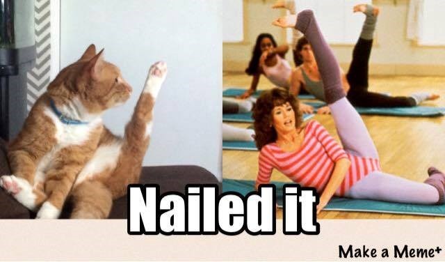 Nailed it Make a Meme+