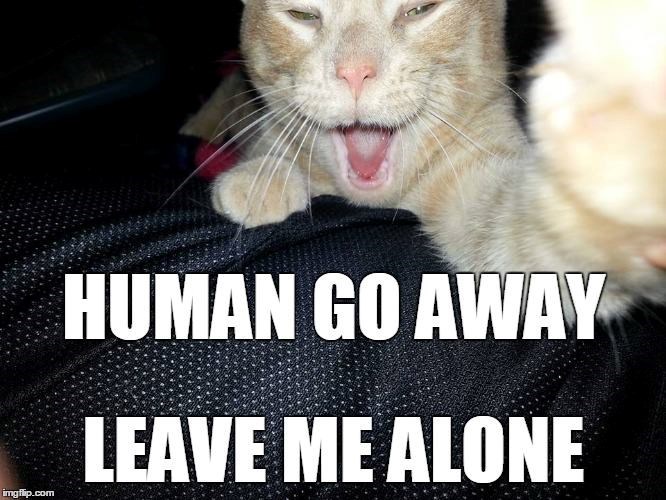imgflip.com HUMAN GO AWAY LEAVE ME ALONE