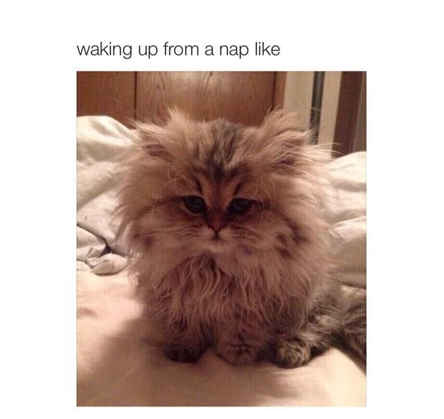 waking up from a nap like