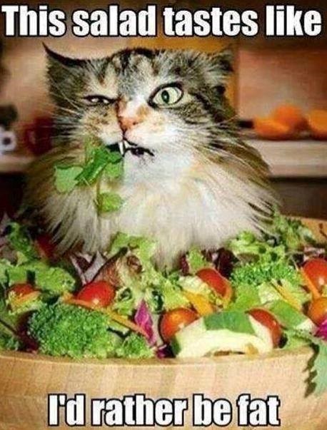 This salad tastes like I'd rather be fat