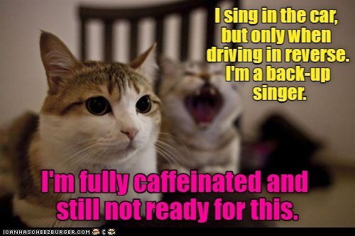 I sing in the car, but only when driving in reverse. I'm a back-up singer. I'm fully caffeinated and still not ready for this. ICANHASCHEEZBURGER.COM