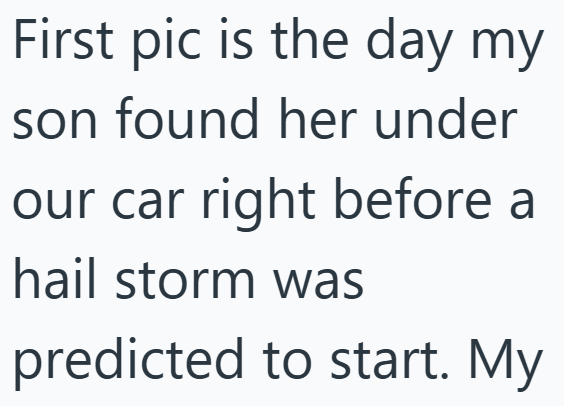 First pic is the day my son found her under our car right before a hail storm was predicted to start. My