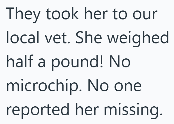 They took her to our local vet. She weighed half a pound! No microchip. No one reported her missing.