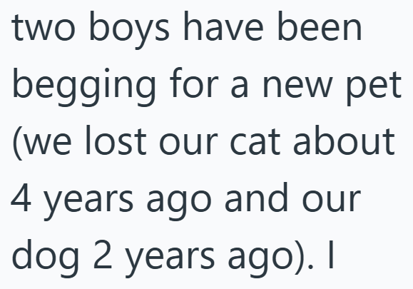 two boys have been begging for a new pet (we lost our cat about 4 years ago and our dog 2 years ago). I