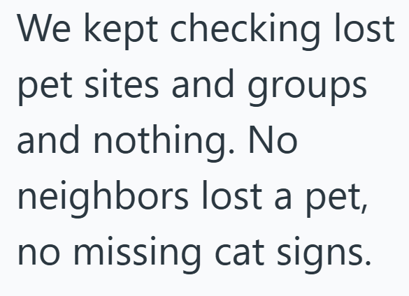 We kept checking lost pet sites and groups and nothing. No neighbors lost a pet, no missing cat signs.
