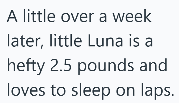 A little over a week later, little Luna is a hefty 2.5 pounds and loves to sleep on laps.