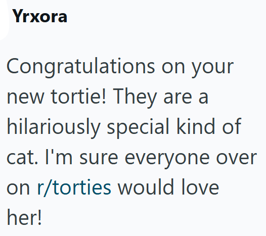 Yrxora Congratulations on your new tortie! They are a hilariously special kind of cat. I'm sure everyone over on r/torties would love her!