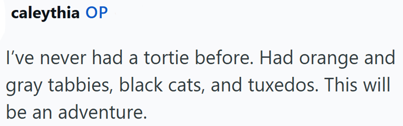 caleythia OP I've never had a tortie before. Had orange and gray tabbies, black cats, and tuxedos. This will be an adventure.