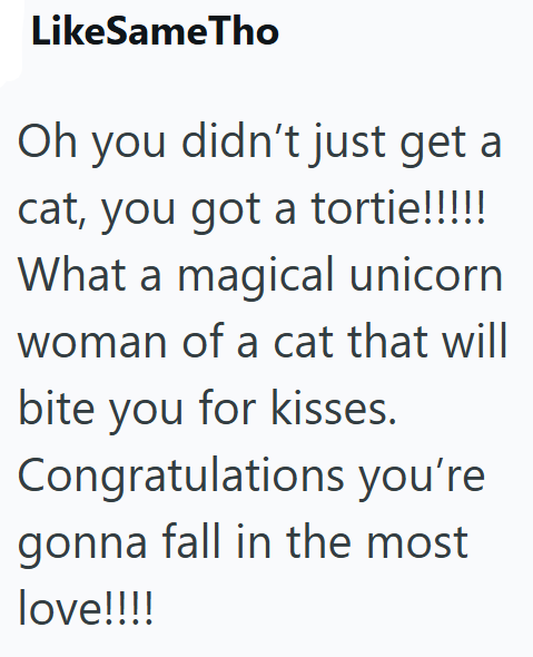 LikeSameTho Oh you didn't just get a cat, you got a tortie!!!!! What a magical unicorn woman of a cat that will bite you for kisses. Congratulations you're gonna fall in the most love!!!!