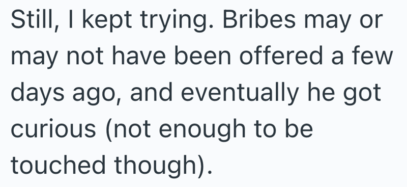 Still, I kept trying. Bribes may or may not have been offered a few days ago, and eventually he got curious (not enough to be touched though).