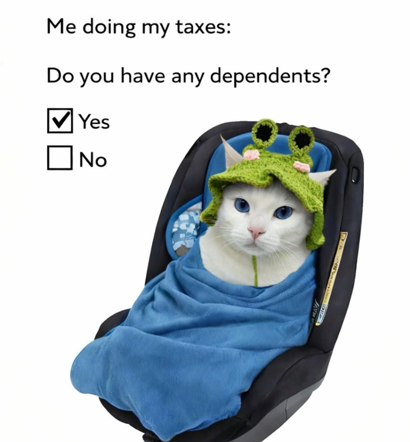 Me doing my taxes: Do you have any dependents? Yes ☐ No