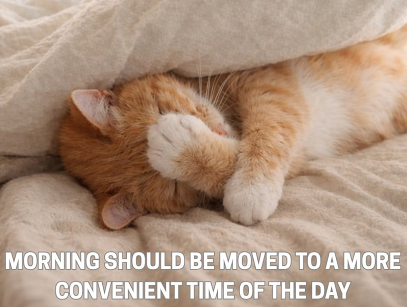 MORNING SHOULD BE MOVED TO A MORE CONVENIENT TIME OF THE DAY