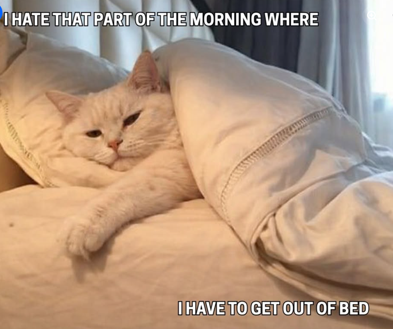 I HATE THAT PART OF THE MORNING WHERE I HAVE TO GET OUT OF BED