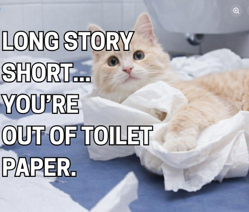 LONG STORY SHORT... YOU'RE OUT OF TOILET PAPER.
