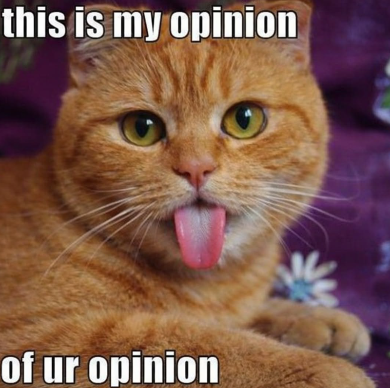 this is my opinion of ur opinion