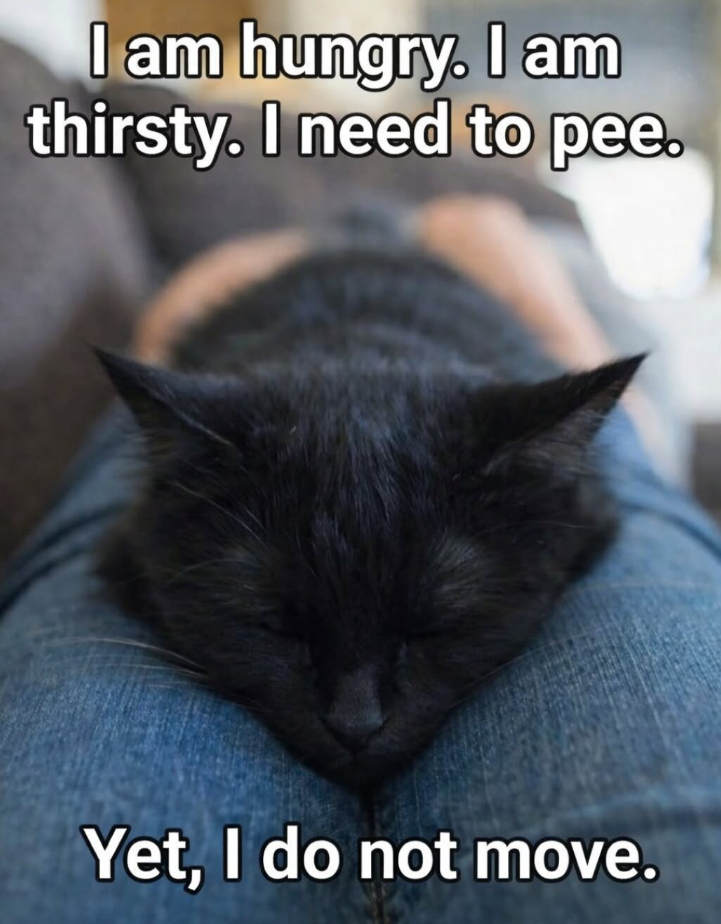 I am hungry. I am thirsty. I need to pee. Yet, I do not move.
