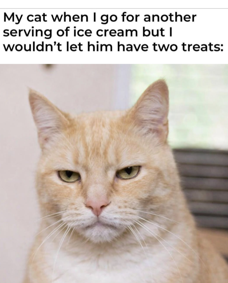 My cat when I go for another serving of ice cream but I wouldn't let him have two treats: