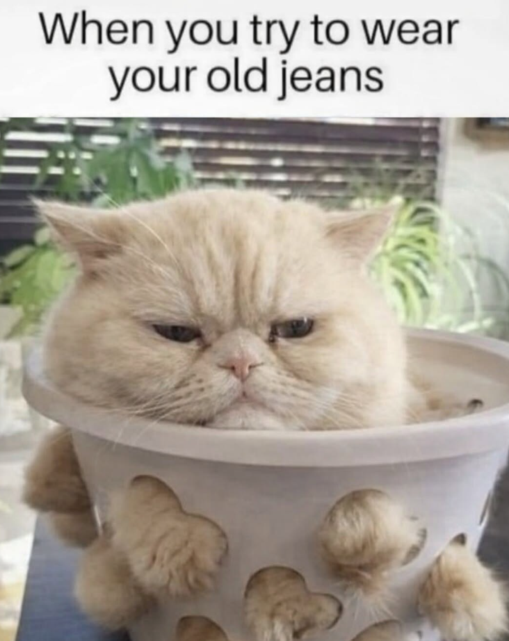 When you try to wear your old jeans